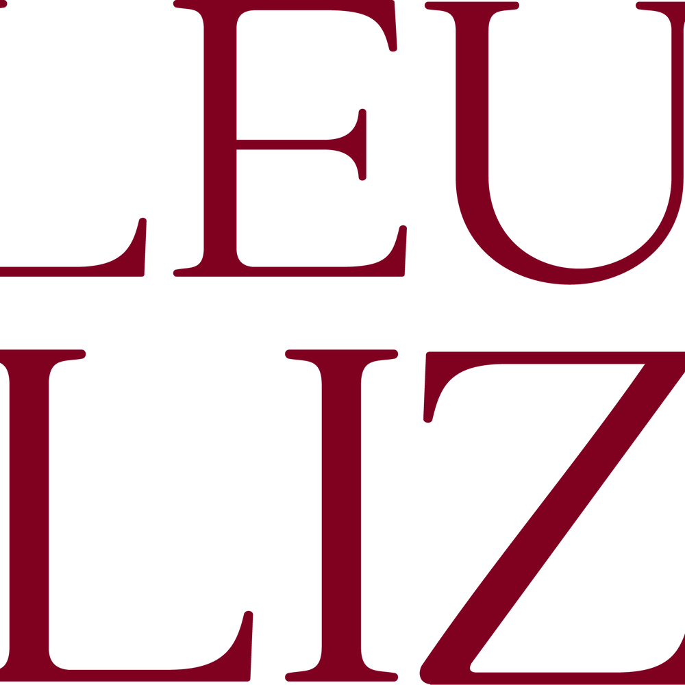 Fleur Elize logo — modern women’s boutique fashion brand specializing in elegant dresses and tailored minimalist styles.